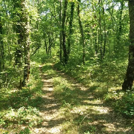 La Baraka Tatil Evi *