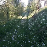 La Baraka Dom wakacyjny *