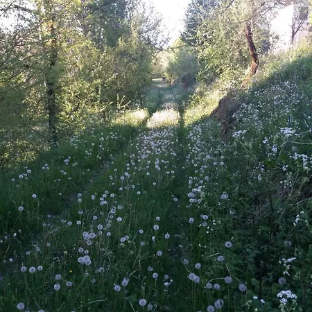 La Baraka Ferienhaus *