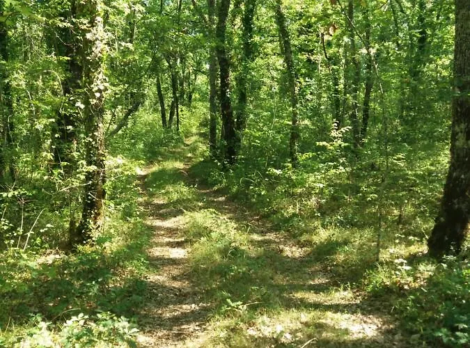 La Baraka Dom wakacyjny *